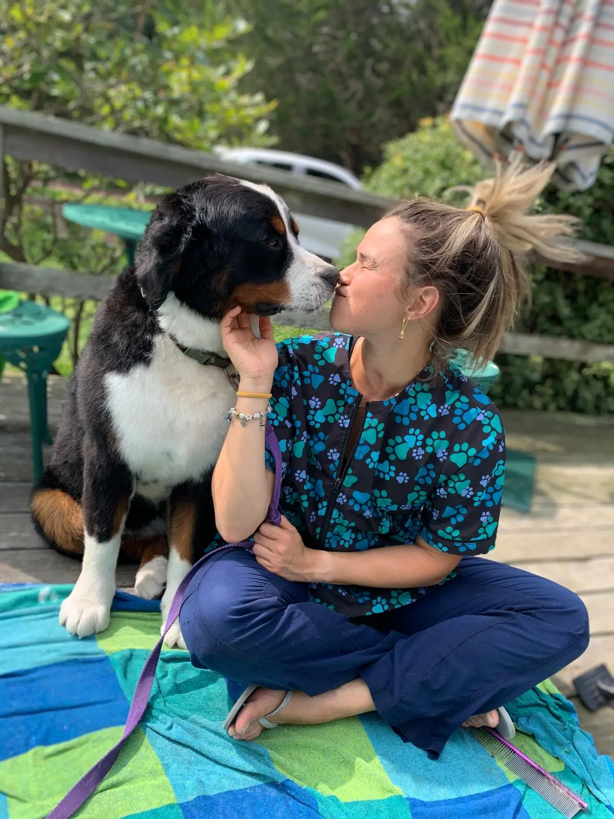 Adriana getting a kiss from a Bernese mountain dog